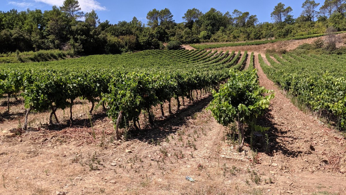 weltbild tweet media