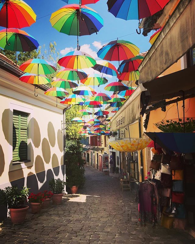 einbahnstrasse's tweet photo. #szentendre 🇭🇺 #latergram#szentendre 🇭🇺 #latergram https://t.co/TtatqZyGDv
