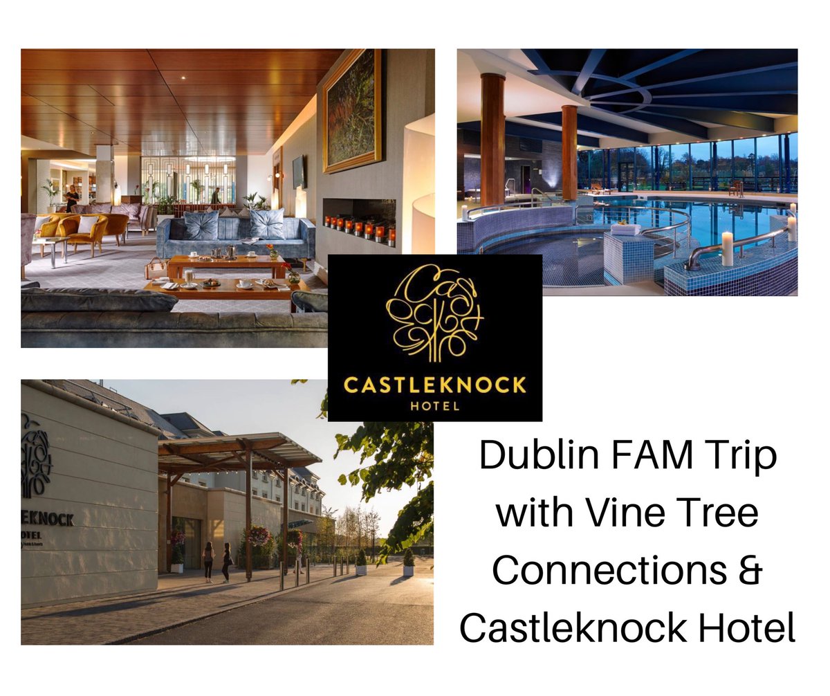 VineTree Connections tweet media