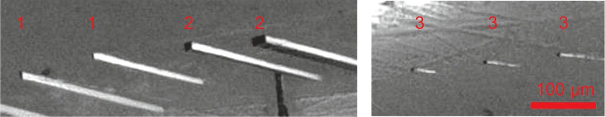 OpticaPubsGroup's tweet photo. via #OSA_OMEx: Selective etching of fs-laser inscribed high aspect ratio microstructures in YAG https://t.co/OKP9xDP1PB #LaserWriting #Nanosctructure @unihh https://t.co/WTDpBKkASA
