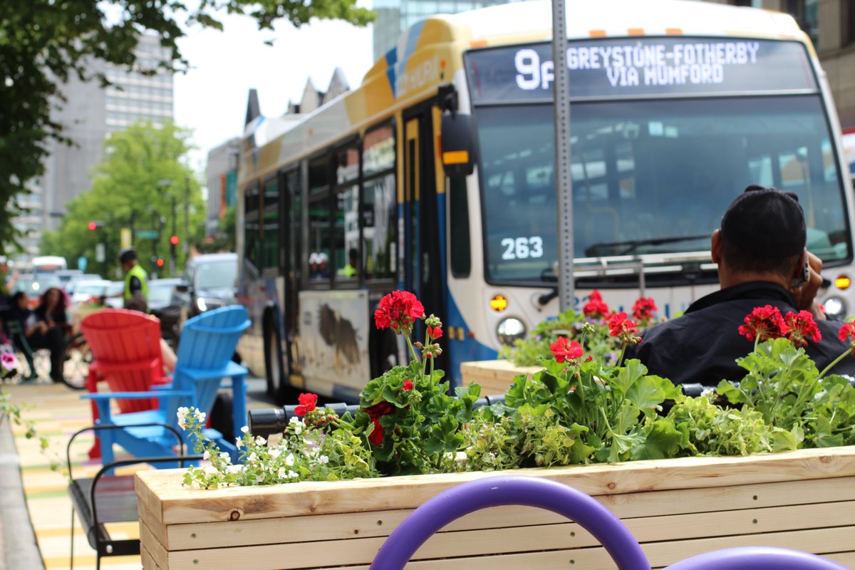 hfxtransit's tweet photo. What do you think of the stoplet on Spring Garden Road? Let us know on this month's #TalkTransit survey: https://t.co/UUeLm8FVwM. #hfxtransit https://t.co/vWlrhRrdTG