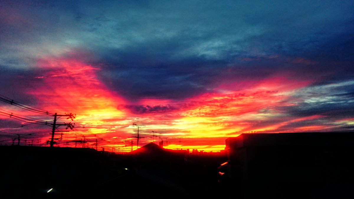 陽楼(A110)CODBO7 tweet media