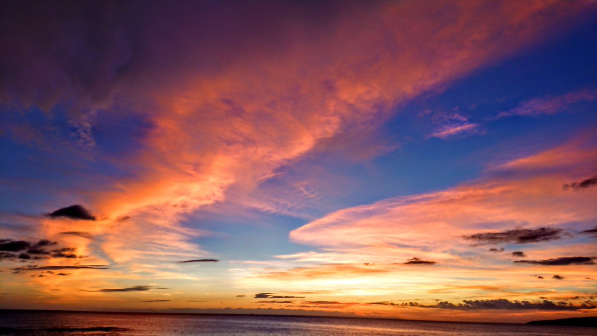 陽楼(A110)CODBO7 tweet media