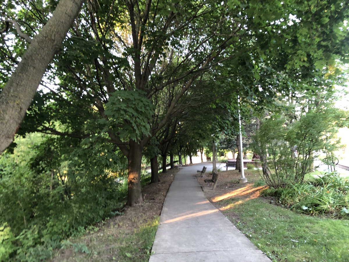 greystone75's tweet photo. Beautiful summer morning to get outside for a run. Good run, felt good, feels great to be able to get out for a run while on chemo therapy. Feel good considering Iβve had 5 rounds of chemo therapy. Get out & enjoy life. #beatcancer #everydayisagift #runningisagift https://t.co/wcpadZJDSP