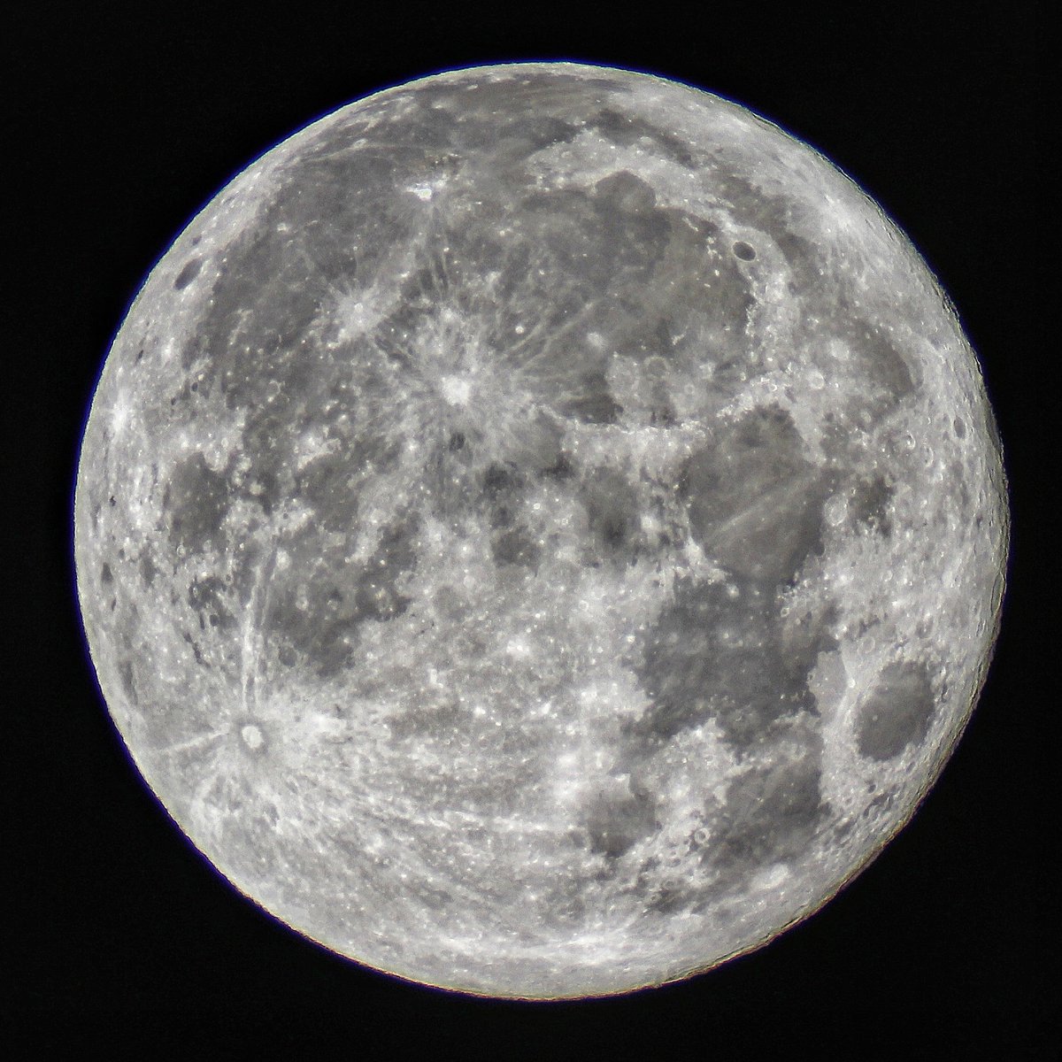 Visualisti si nasce tweet media