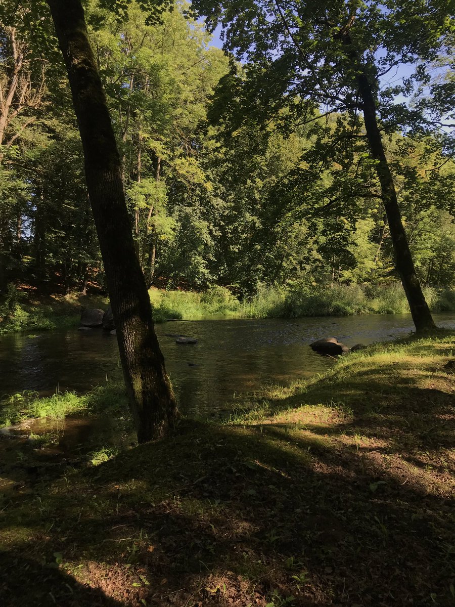 Tabatha Soltay tweet media