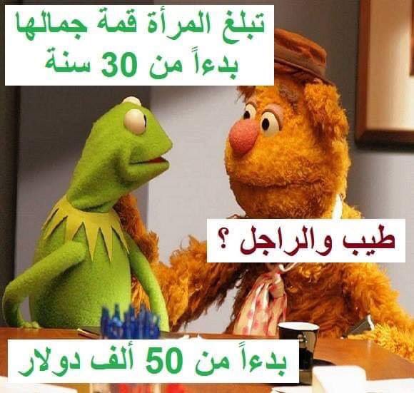 omar3389535587's tweet photo. @lodyazeez2018 https://t.co/1ClS8d0sD6