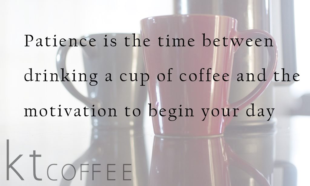 kittytowncoffee tweet media