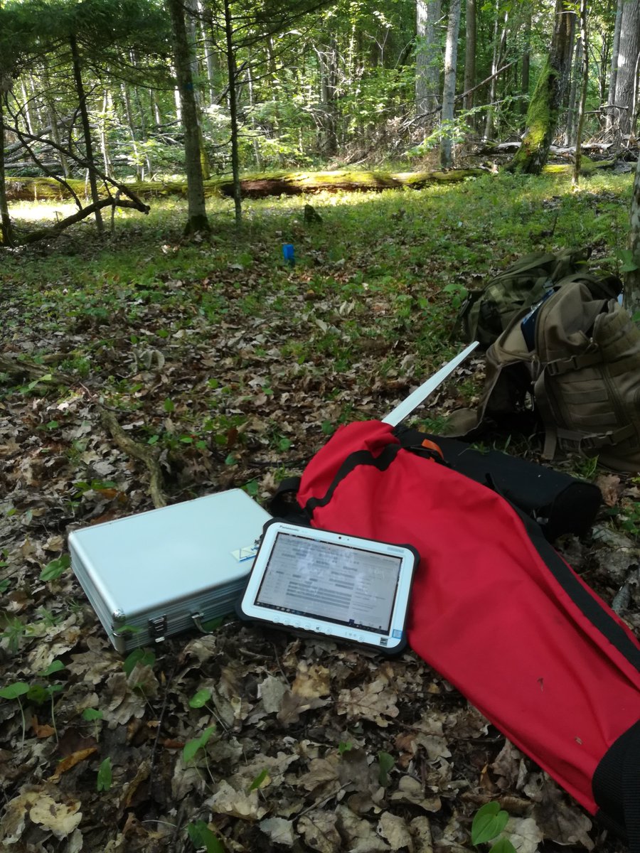ForBioSensing's tweet photo. ForBioSensing, our activities in the #Białowieża #Forest: Taxation work
🌳🐗🌲🐂🌳🐆🌲
The middle of #August is behind us, and work in the Bialowieza Forest is booming! Intensive field work is underway as part of the #ForBioSensing #Project.
#tax #measurement #devices #IT https://t.co/Iu2yZ3A5lU