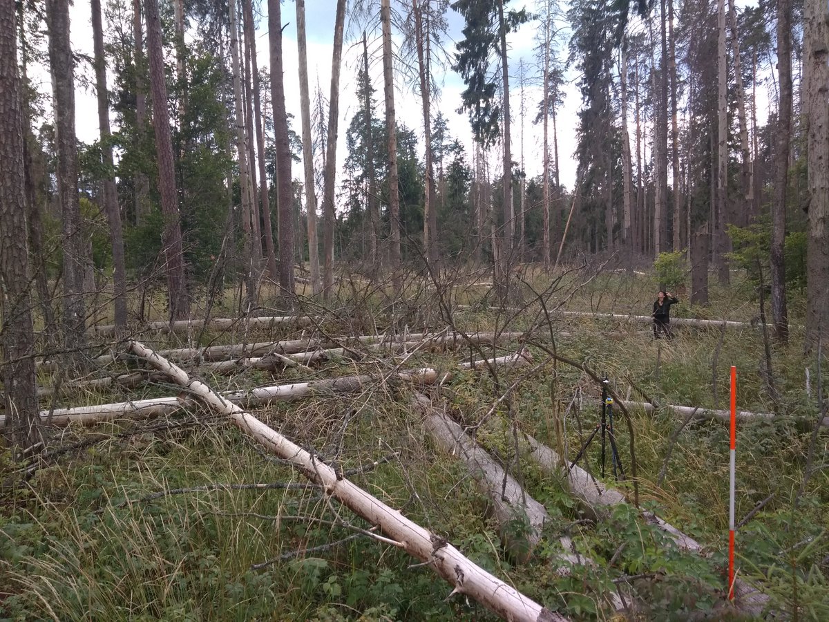 ForBioSensing's tweet photo. ForBioSensing, our activities in the #Białowieża #Forest: Taxation work
🌳🐗🌲🐂🌳🐆🌲
The middle of #August is behind us, and work in the Bialowieza Forest is booming! Intensive field work is underway as part of the #ForBioSensing #Project.
#tax #measurement #devices #IT https://t.co/Iu2yZ3A5lU