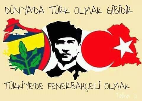 Fatih tweet media