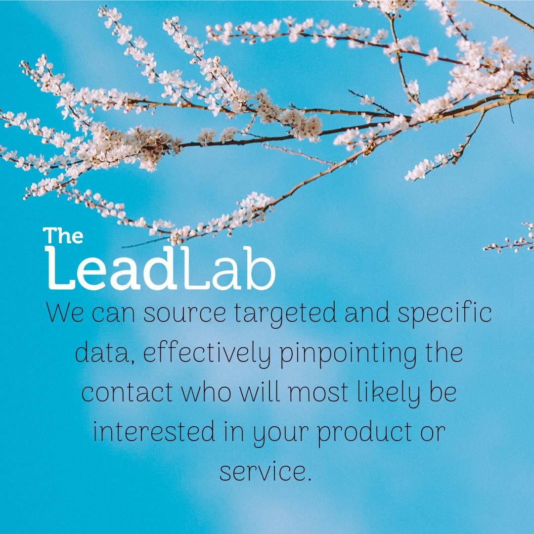 We can source targeted and specific data, effectively pinpointing the contact who will most likely be interested in your product or service.  📈📞📖
.
.
theleadlab.com
.
.
#telemarketing #leads #leadgeneration #b2b #business