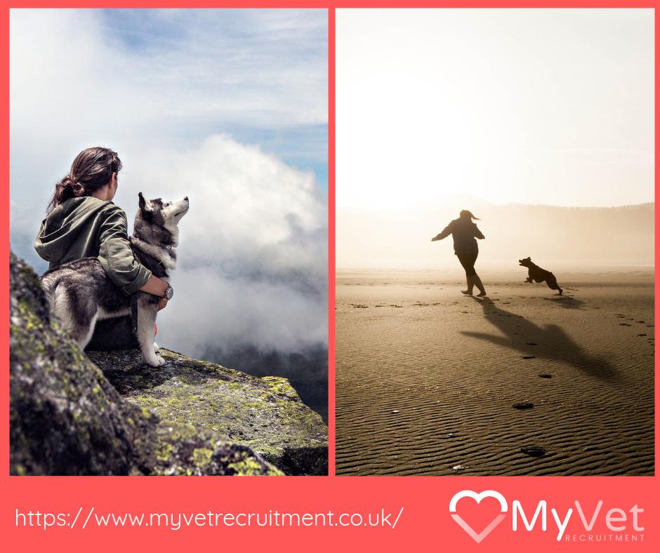 MyVet_'s tweet photo. Are you more mountain or sea holidays?
Let us know below! 😍👇
.
.
.
#Veterinarian #Dog #Cat #Pet #CompanionAnimal #SeaHolidays #MountainHoliday #Summer https://t.co/FIAmBvQwKh