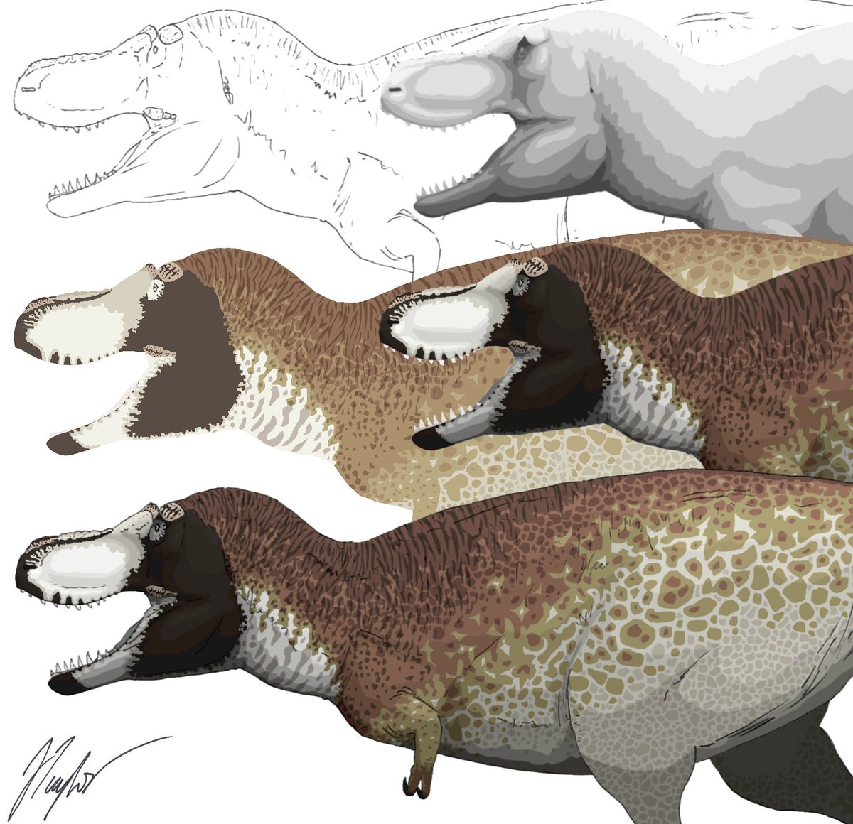 JedTaylorArtist's tweet photo. #StanTheTrex stages. https://t.co/1mHqkMD0rJ