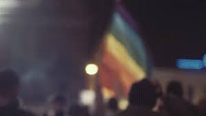 TelegramGay tweet picture