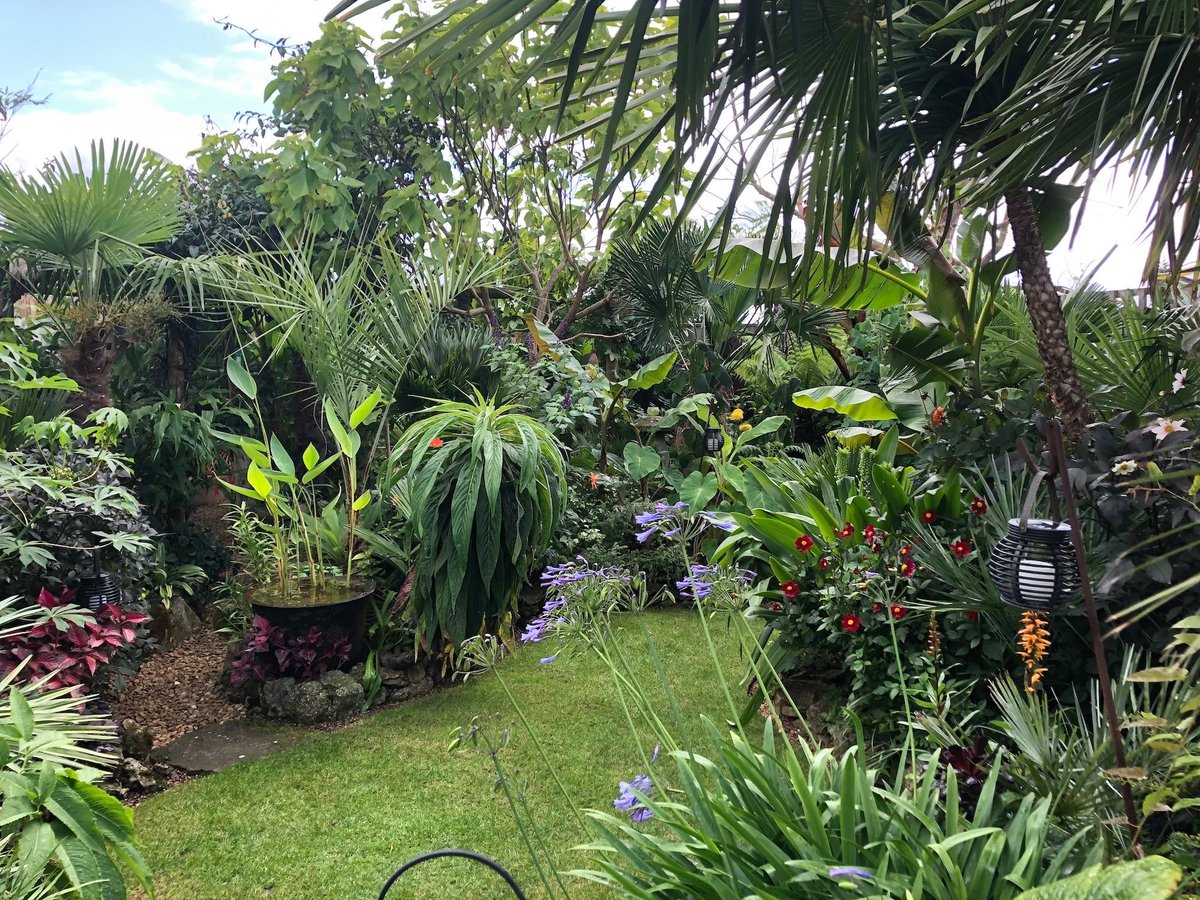 Oxford Garden Design On Twitter Our Very Own Steve Moodey Springy Steve Is Opening His Amazing Garden For Charity Tomorrow Totally Inspiring Brimming With Very Unusual Plants And Ideas Money Raised Will Go