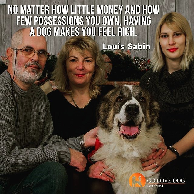 GoLoveDogs's tweet photo. A dog makes me feel rich. ❤️🐕 https://t.co/wXfOS1X975