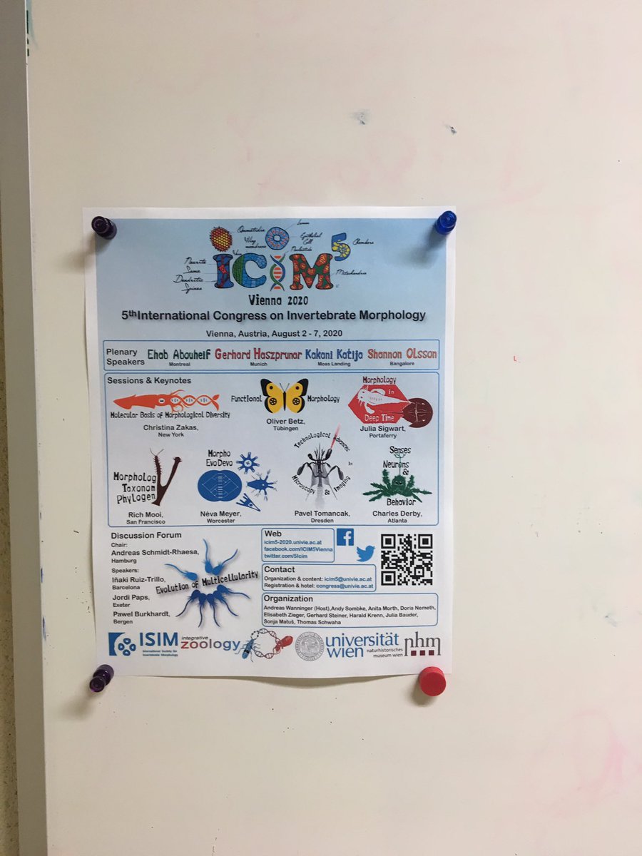 Early advertising for <a href="/5Icim/">ICIM-5-Vienna-2022</a> at <a href="/NMNH/">Smithsonian NMNH</a>! Already so excited for this meeting!