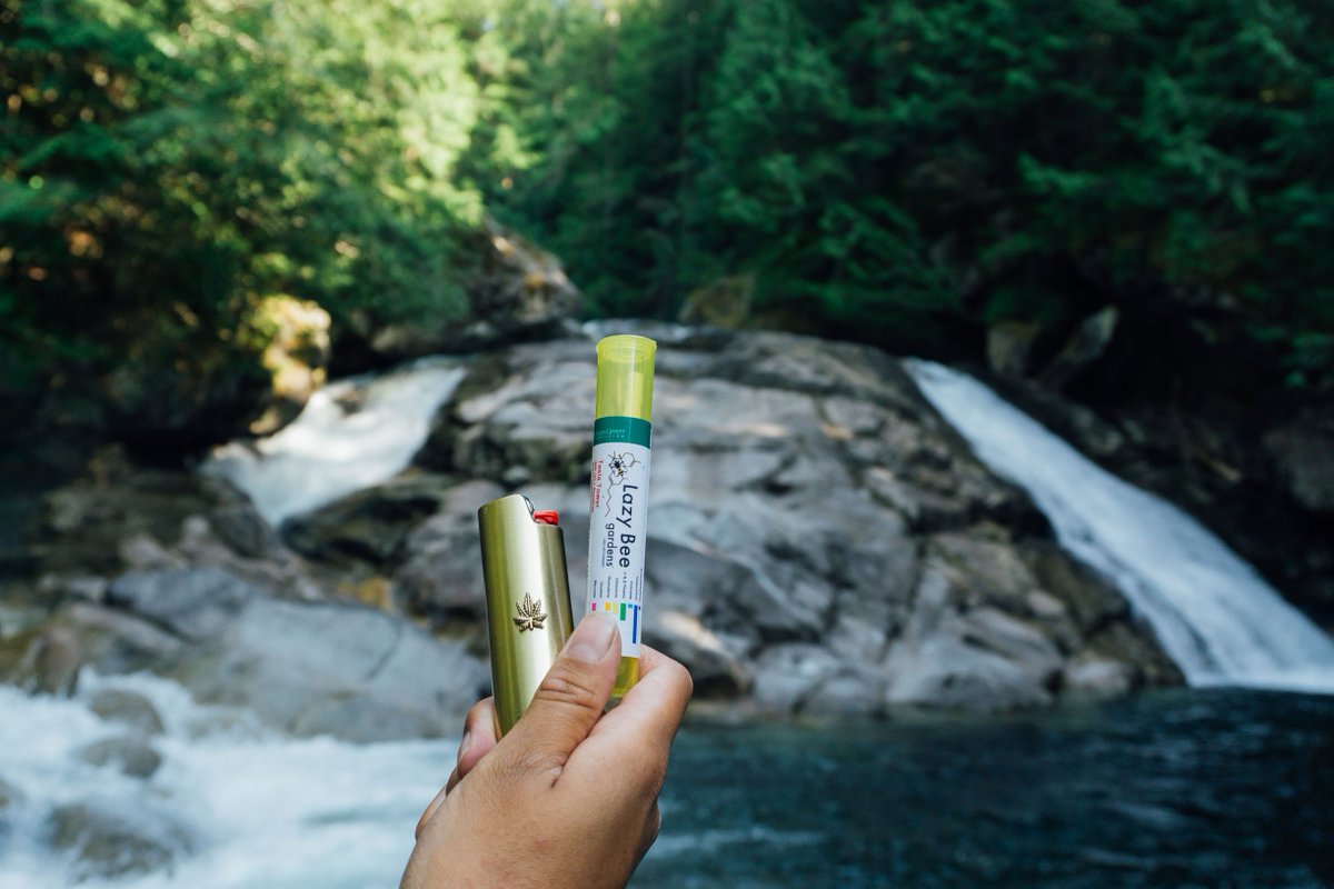 LazyBeeGardens's tweet photo. What's your favorite #terpene to #SparkAnAdventure? Don't worry about guessing strain names or genetics at the pot shop. At Lazy Bee, we list terpene profiles on every package, so it's easy to find your favorite terps for your favorite adventures! 🍁🌲✨ #LazyBeeGardens https://t.co/AY9a6MG40v