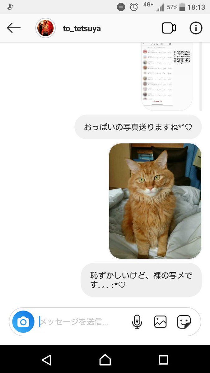 虫眼鏡 東海オンエア 罪もないのに晒されたぬこがかわいそう 虫眼鏡 東海オンエア 罪もないのに晒されたぬこがかわいそう