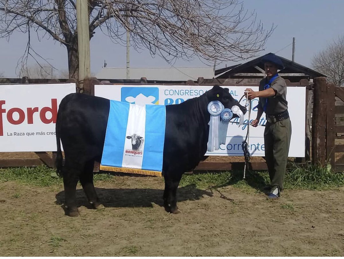Sociedad Rural Ctes. tweet media