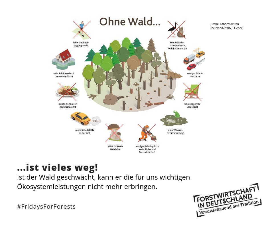 FoersterCarlo's tweet photo. Der #Wald hat zahlreiche Funktionen, die wir jeden Tag nutzen und als selbstverständlich erachten. Es ist wichtig, dass wir unseren Wald schützen, so dass die z.B. Schutz-, Nutz- und Erholungsfunktion erhalten bleiben.
#fridaysforforests #klimawandel #klimaschutz https://t.co/pJWsH0Jnhs