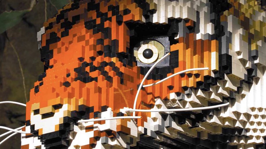 cakeclubdoes's tweet photo. Reason 2 of 4 why you NEED to be in Liverpool this weekend
Visit the Lego Safari @KnowsleySafari 80 life-sized Lego safari animals From Bengal tigers, elephants, gorillas, lions to kangaroos!
#legosafari #minicakeclub #CakeClubDoes #WhatsOnLiverpool
https://t.co/7kDPttLQbq https://t.co/HFNVzIQ3RG