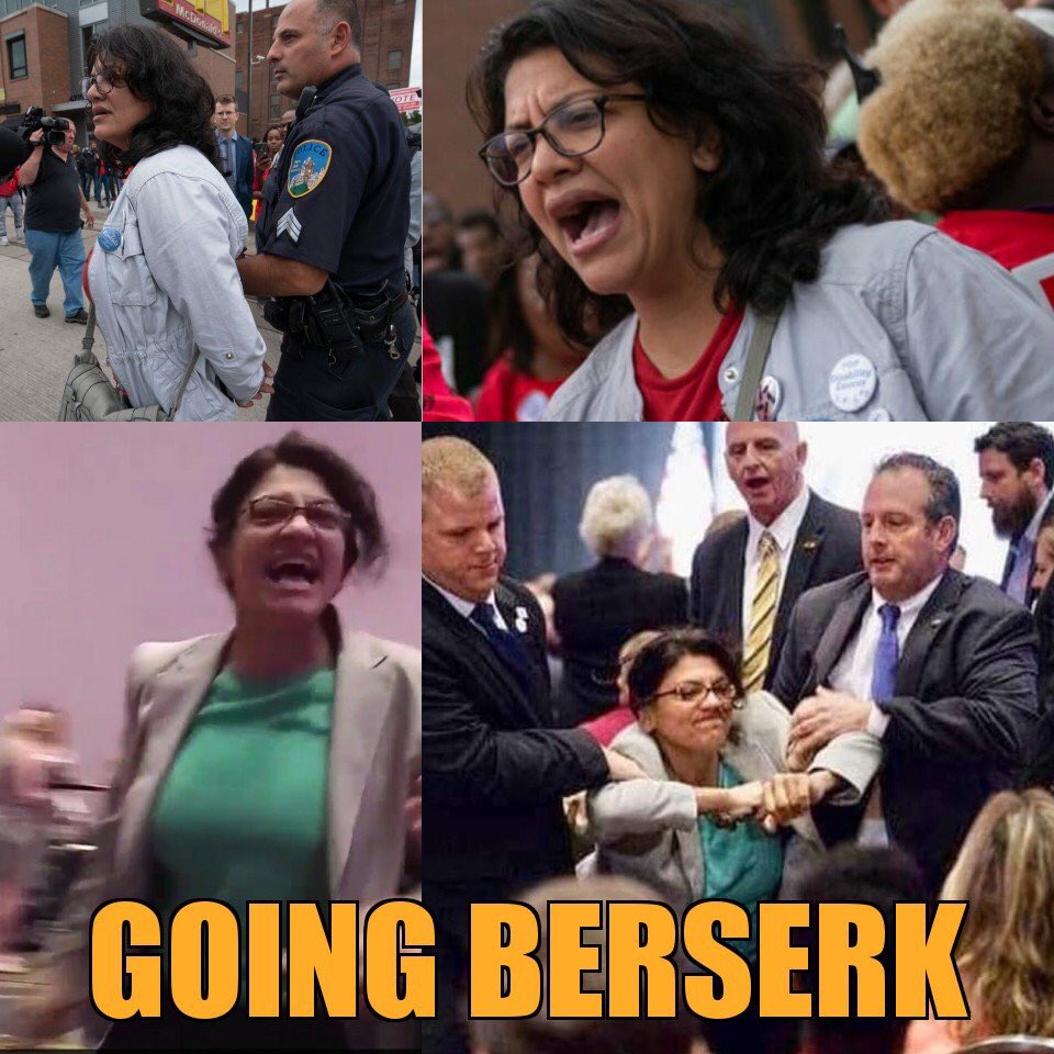 Fascist Democrats and Rashida Tlaib: Let's arrest allies of the president who do not comply with congressional subpoenas