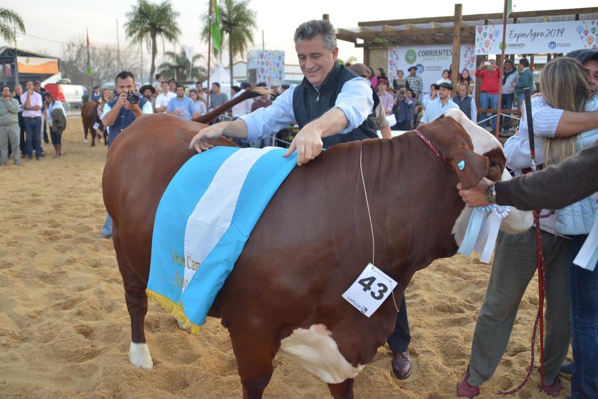 Con <a href="/gustavovaldesok/">Gustavo Valdés</a> en el corte de cinta en <a href="/SRCorrientes/">Sociedad Rural Ctes.</a>. ¡Argentina sigue alcanzando récords en exportaciones de carne! Gracias al trabajo de <a href="/mauriciomacri/">Mauricio Macri</a>, con una inserción inteligente al mundo, recuperamos e incrementamos mercados perdidos por el gobierno anterior.