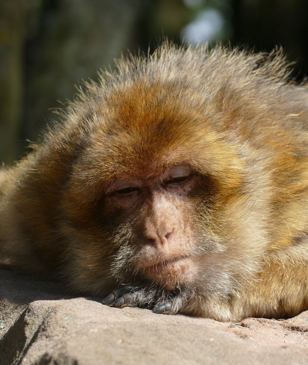 Quand Tous Tes Collègues Font Le Pont Du 15 Août Sauf Toi