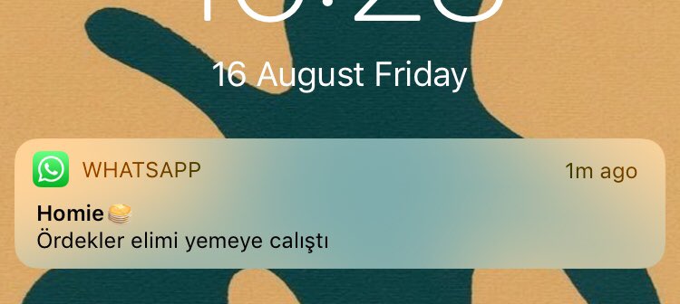 isilocall's tweet photo. summer at it’s finest https://t.co/m5ElrRskAT
