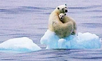 artigus1's tweet photo. @civati @MarcoTiberi @peoplepubit Qualcuno gentilmente gli fa sapere che li rischierebbe di accorgersi che il global warming esiste per davvero??? https://t.co/PqzM6Zeg4A