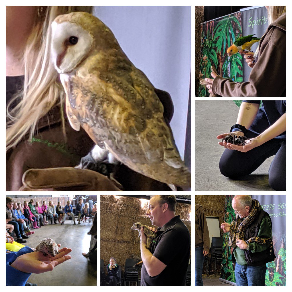 CampActivate's tweet photo. We're enjoying our special visitors to #Activate2019 https://t.co/NeUhj2sr4D