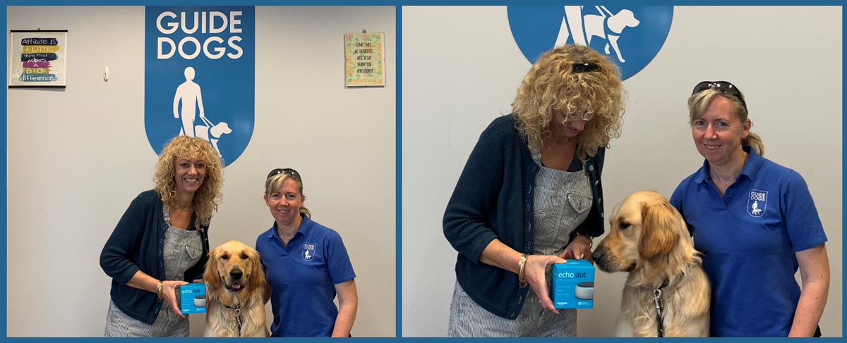moldev's tweet photo. Sue Burgess from our UK office donates an Amazon Echo Dot she won in a company fun quiz to @ReadingGuideDog. The prize was gratefully received by Jackie Kent and Comrie the Golden Retriever! Woof woof! @guidedogs https://t.co/cynPu25AEU