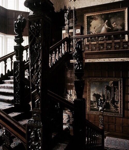 pughatory's tweet photo. dark wood, old books, and light pouring through a window too far away: a generic dark academia aesthetic thread https://t.co/NRNgFizTQV