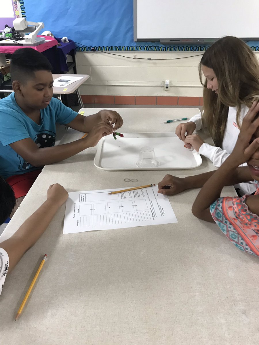 ScncTeacher2015's tweet photo. Saving Fred in 6th grade science @GlenviewEMSD @EMSD37 https://t.co/13qHlgch6m