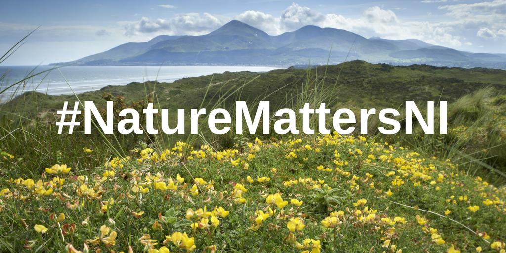 NatureMattersNI's tweet photo. Did you know that NI has approx. 400 miles of coastline? This has resulted in rich marine #wildlife that needs to be protected whatever the outcome of Brexit https://t.co/TgPM4QE0Fx