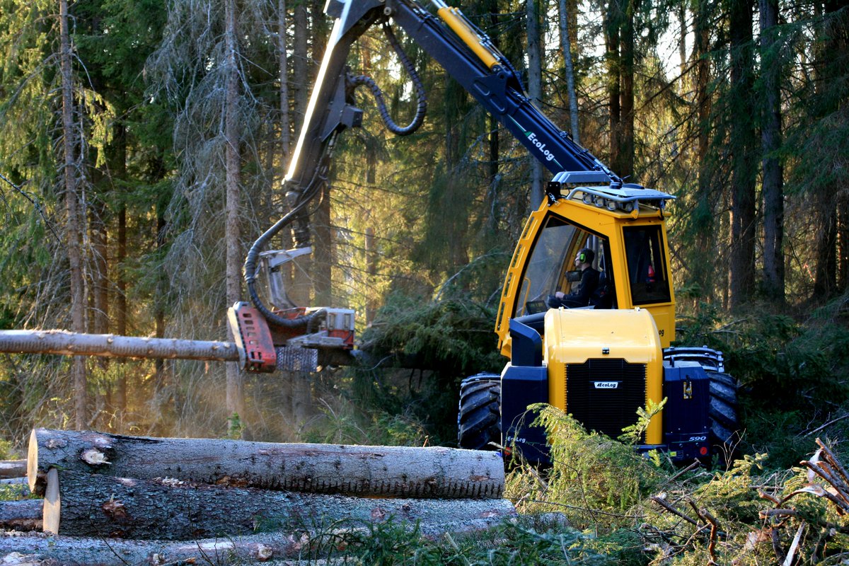 ecologforestry's tweet photo. This Friday we share some very nice pictures that Henrik Lindblom, Forest Contractor in Vingåker has taken. The machine is an Eco Log 590E with a Log Max 6000. Happy weekend!  #ecolog #lindblomsskogsentreprenad https://t.co/QPkWnMMJA7