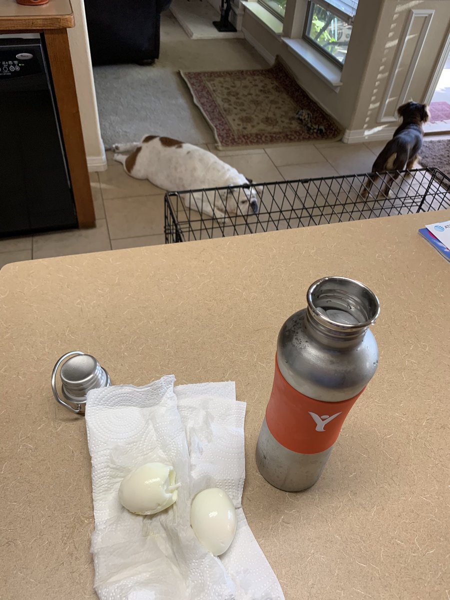 LawDog1515's tweet photo. 8:30 am 2 eggs and water. 

#260isnotmyweight #199point9 #recommitted #bertiamcomingforyou #makebertpay #berttoo #Raceto200 #drinkcrazylivecrazy #VancevBertsumomatch

#DDPYWorks #DDPY #DDPYoga #OwnYourLife

 #DDPYMeals #DDPYPhase3 
 @RealDDP @DDPYoga @bertkreischer https://t.co/apEAHexZmV