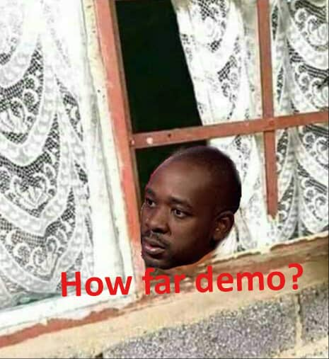 Twinsis50497431's tweet photo. Pane asipo! #ZimFreedomMarch #MDCRELOAD #Demo @mdczimbabwe @MDCAllianceZW @CdeEffort @cdebhana @ZimEye https://t.co/6qCxBquDSb