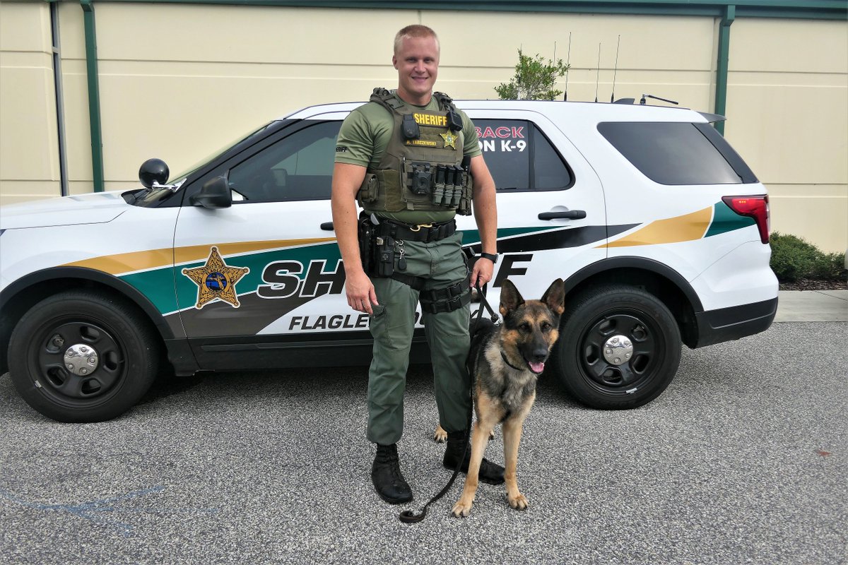 We have 2 new K-9s that need names! This is the K-9 assigned to Cpl Tarczewski and will be replacing K-9 Tag when he retires. This new guy is a German Shepard born in Hungary. He will be a patrol and narcotics detection K-9. So... what's his name? #FCSO #K9Unit #NameThatK9