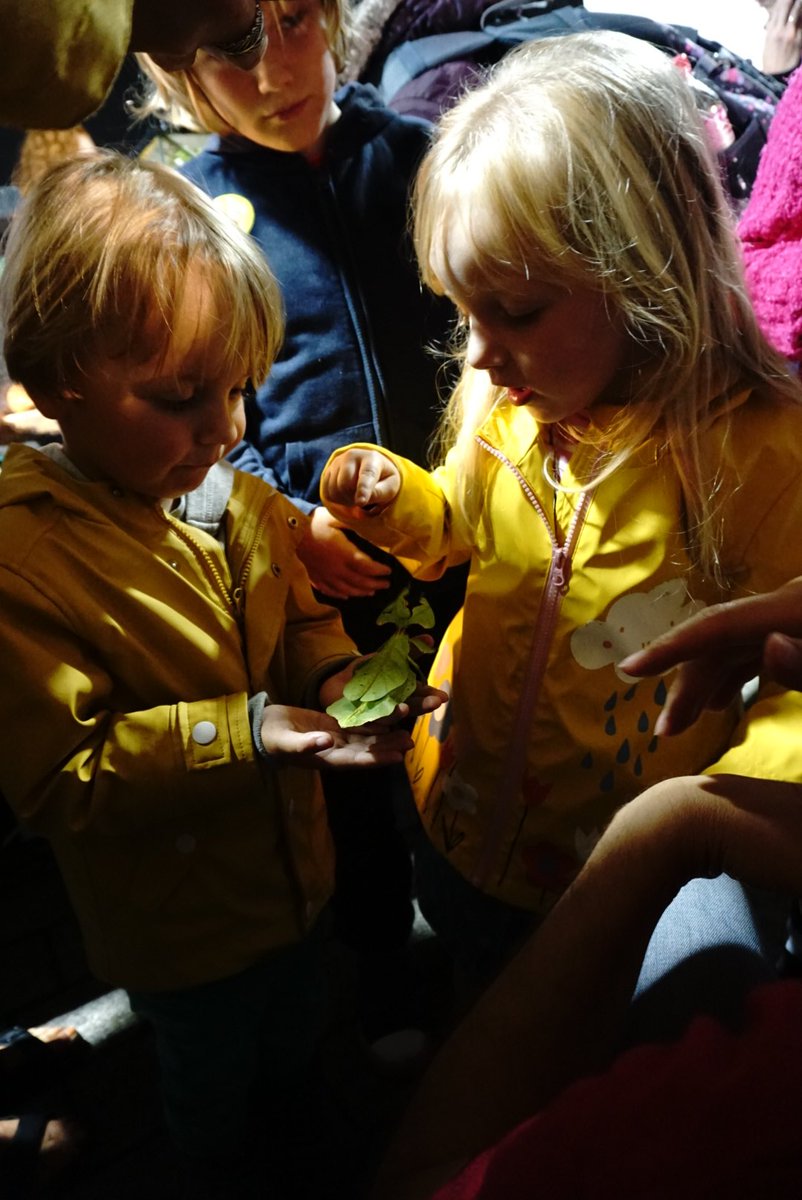 UoE_SciSquare's tweet photo. There is just about 1 hour left to enjoy #ScienceInTheSquare!
There is so much to see and do! With 7 zones to explore and talks from @UniofExeter scientists!
Come down and make the most of the rainy day!
#FalmouthWeek #FamilyFun #RainyDay https://t.co/8OZfjmFxbX