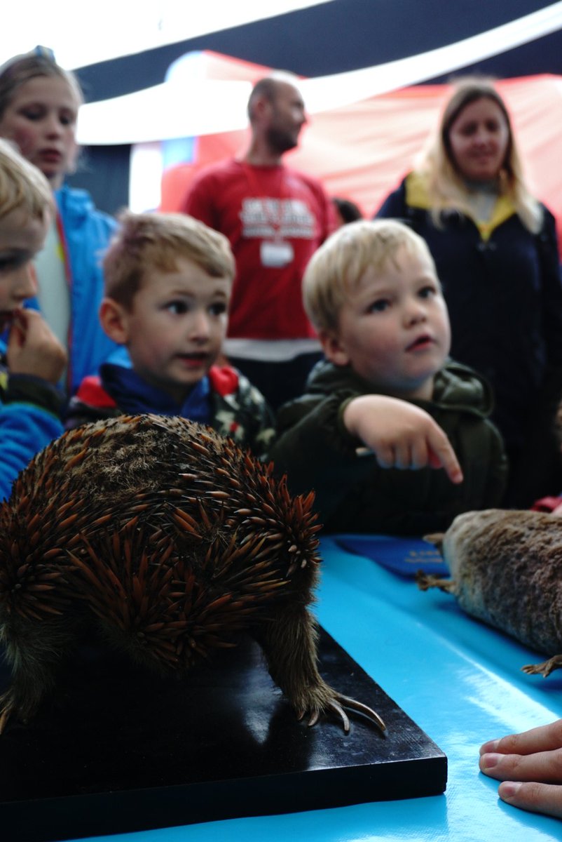 UoE_SciSquare's tweet photo. There is just about 1 hour left to enjoy #ScienceInTheSquare!
There is so much to see and do! With 7 zones to explore and talks from @UniofExeter scientists!
Come down and make the most of the rainy day!
#FalmouthWeek #FamilyFun #RainyDay https://t.co/8OZfjmFxbX