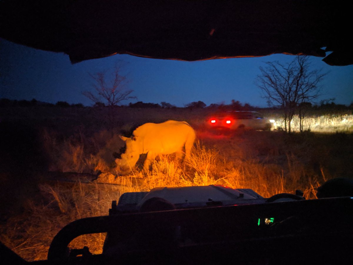 AshfordScoutsSA's tweet photo. Another Rhino feed and count with anti poachers last night.

#SA2019 🇿🇦

@UKScouting @Kentscouts @KentExplorers
@ScoutSection https://t.co/nxrLX5vBuA