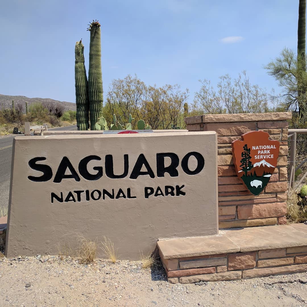 DoubleTreeTUC's tweet image. Cross a visit to #SaguaroNationalPark off your bucket-list during your next stay with us in Tucson!

Photo by ant.bonilla