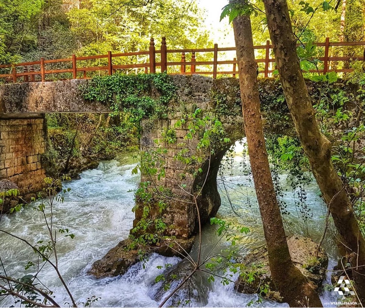 WeAreLebanon's tweet photo. An old bridge hugged by the nature 💦🍃
By @rogergaspar1 #WeAreLebanon 🇱🇧 https://t.co/6CKG1JEZzb