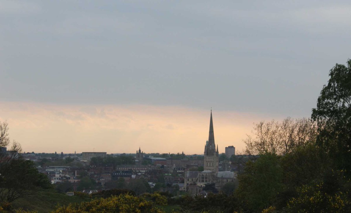 Pretty skies over Mousehold Heath ⛅