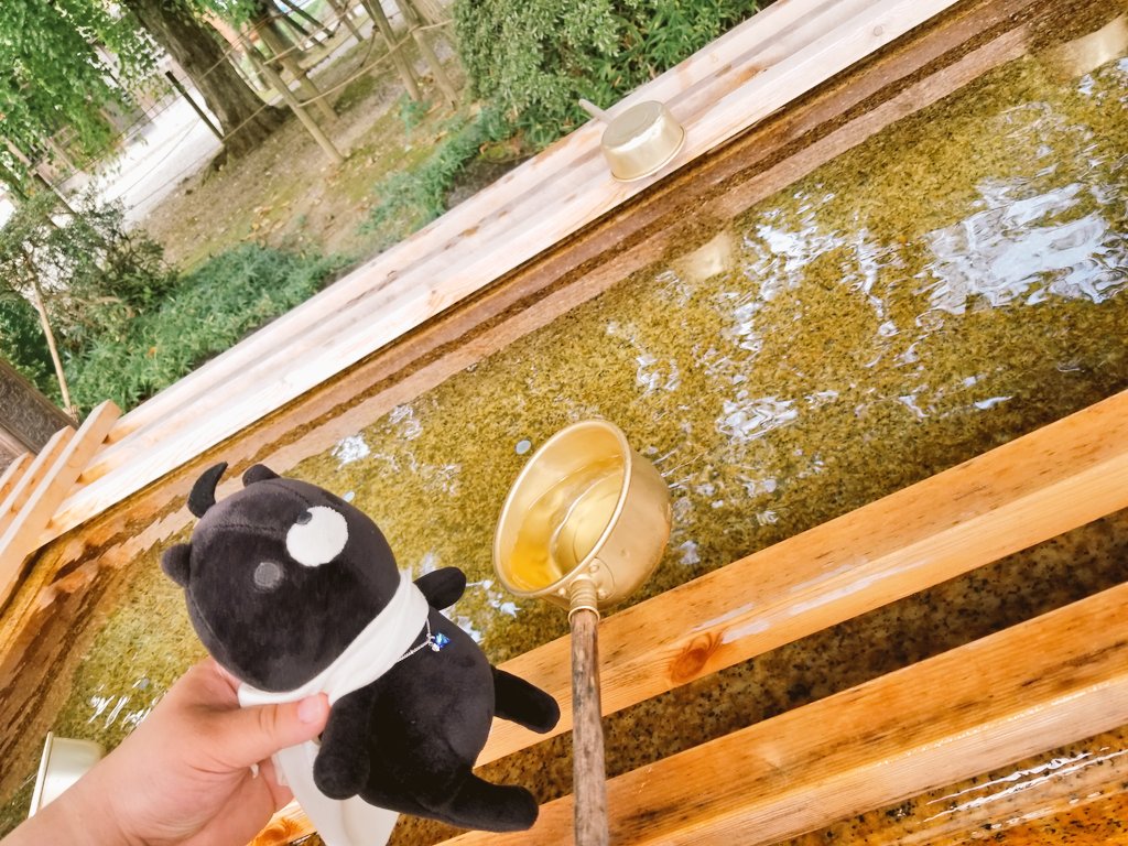 maa_owo's tweet photo. 〜稲荷神社にて⛩〜

"ごんちゃん、手洗うよ！"

「これ、飲める？？？」

#あさりとごんたの夏休み
#おかえり園田くん
#おかえり園田くん2019 https://t.co/OW2tuPk3tO