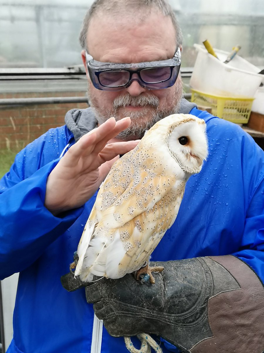Another great day with Derek @ Wings of Hope (DLS falconry) supporting 2 service users.  <a href="/DLSFALCONRY/">DLS FALCONRY</a> <a href="/BarbaraWebb21/">BarbaraWebb</a> <a href="/RosieFewings/">Rosie Fewings</a> <a href="/LesleyjBRC/">Lesley jone</a> <a href="/lespoppysdad/">Les Dixon</a> <a href="/abaskind1/">April G Baskind</a> <a href="/ColinBrown1871/">Colin Brown</a> @jrmorrisvfr it's marvelous the calming effect these birds have on people.