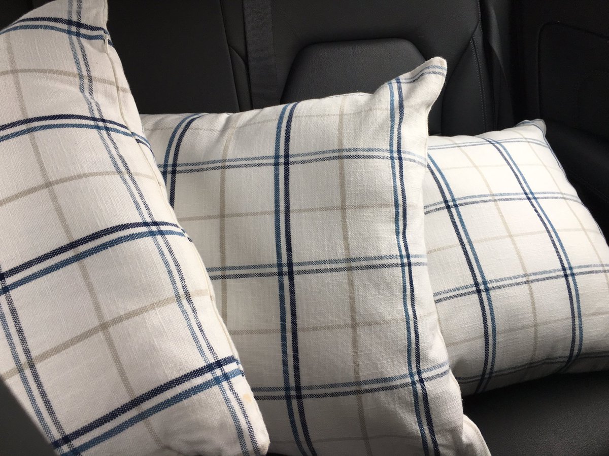 dianamahon's tweet photo. When the cushions you’ve had your eye on go into the sale .. it’s now or never ! Well dressed  back seat of car !!! 😂😉🙌🏻 #snappedup 4 👍🏻 https://t.co/lLONWFxzG8